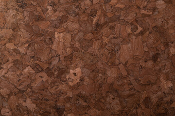 hard wood texture background brown