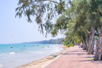 tropical beach with palm trees on footpath