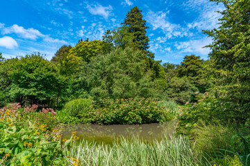 Watergarden at Christchurch Botanic garden in New Zealand