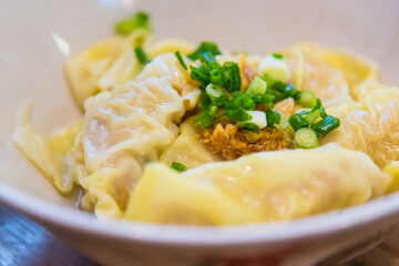 Vegetable & Pork Wontons with spicy sauce and green onion.