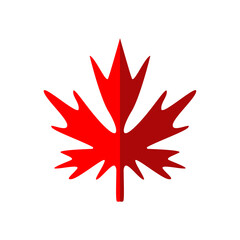 Maple leaf icon