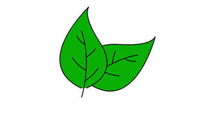  Leaf design line icon. Green line leaf plant outline symbol natur