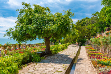 Rose garden at botanical garden of Balchik palace in Bulgaria © dudlajzov
