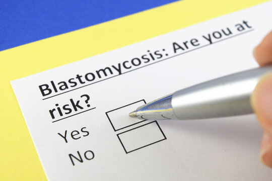 「ブラストミセス症」の写真素材 142件の無料イラスト画像 Adobe Stock