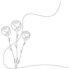 Roses hand drawn flower, vector illustration 