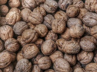 close up of walnuts