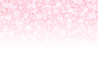 桜の背景