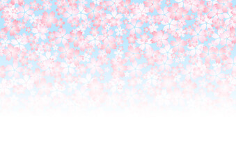 桜の背景
