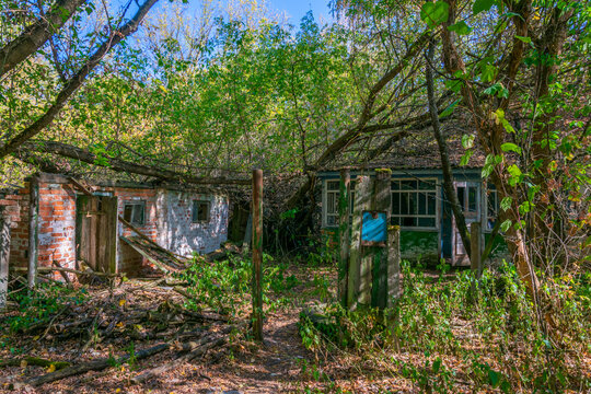 Nature takes over an abandoned village inside of the Chernobyl Exclusion Zone in the Ukraine