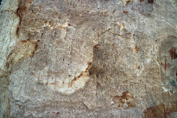 hard rock granite surface of stone for interior wallpaper