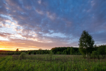 Fototapeta na wymiar Landscape of sanset of summer meadow under clouds on blue sky