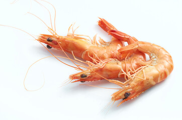 delicious fresh cooked shrimps isolated on white background