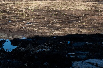 The ground , thailand ,