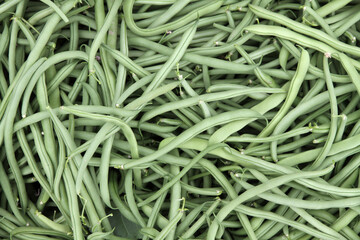 Haricots verts