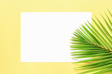 Blank sheet with palm leaf on yellow background, flat lay, mock up