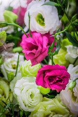 Eustoma flowers close-up blurred background