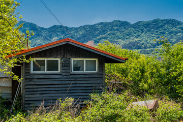 Abandoned wooden shack in wilderness