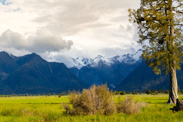 View of Mount Cook and Mount Tasman on the surrounding of Lake Matheson, New Zealand