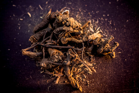 Close up of raw ayurvedic herb i.e., chitrak/Plumbago zeylanica roots on the brown-colored shiny surface along with its powder. Horizontal shot.