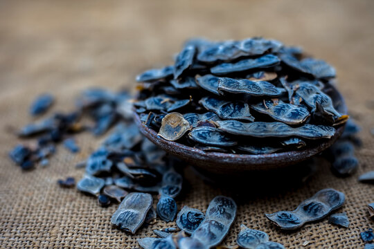 Close up of babool ayurvedic herb in a clay bowl on a gunny bag's surface for the treatment of various tooth-related diseases. Horizontal shot.