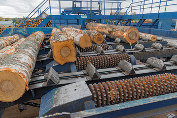 Automated log sorting line. Wooden beam on conveyor, wood processing at a woodworking factory....