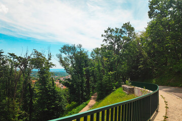 Beautiful view of the road through the forest, clear blue sky and red tiled roofs