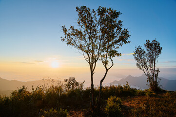 Beautiful mountains landscape. Sunrise on Phu Chi Fa, North Thailand.