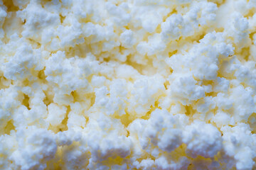 Close-up of cheese curd in a plate ready to eat