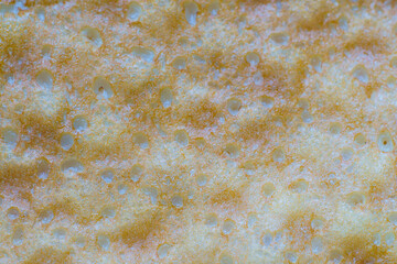 Abstract background of fried pancake closeup. Very appetizing
