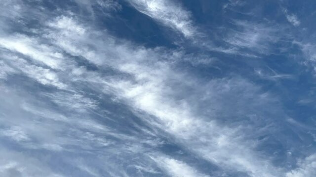 青空に広がる巻雲 房状雲