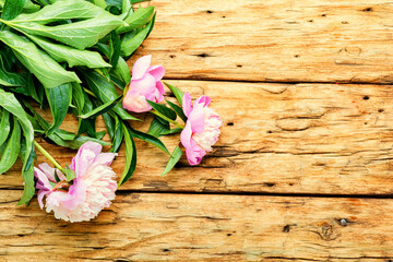 Bouquet of peonies on the table