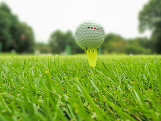 ティーアップを終えてショットを待つボール