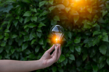 Light bulb Energy saving green nature background