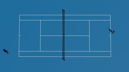 Blue tennis court  - obrazy, fototapety, plakaty