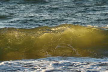 Sea or ocean, waves close-up view. Green - yellow waves sea water.