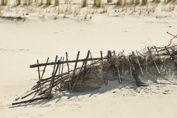 Sandy dunes. Curonian Spit, Lithuania