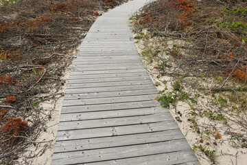 Wooden path leading through dunes at Nagliai nature reserve