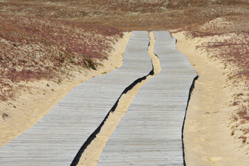 Wooden path leading through dunes at Nagliai nature reserve