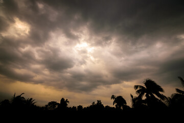 Fototapeta na wymiar Silhouette of trees with dark cloudy sky