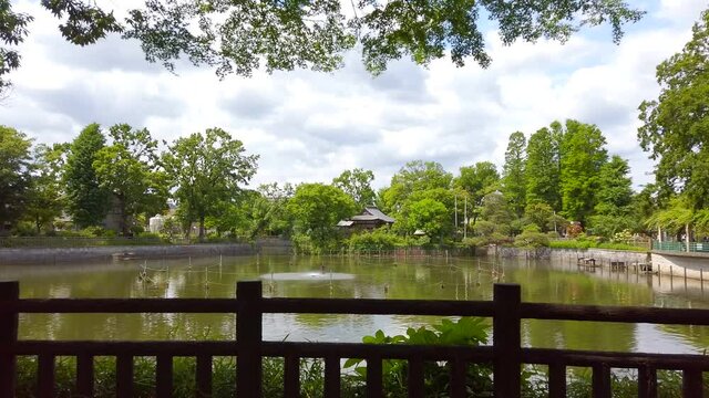 都心部のオアシスである碑文谷池