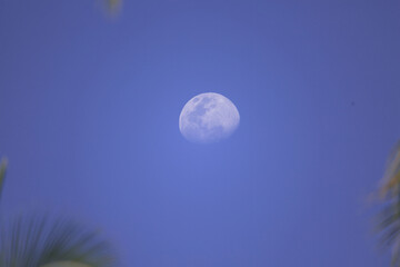 bright shining three quarter Moon at daytime on a blue sky