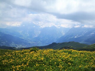 Fototapeta na wymiar Beautiful view of Männlichen mounain in Switzerland.