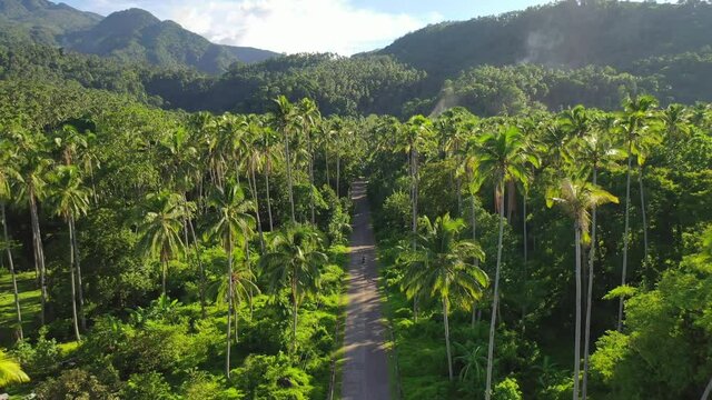 Tourist riding scooter inland on tropical island Camiguin Philippines, forward aerial
