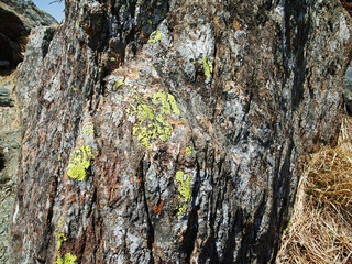 岩のテクスチャー