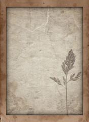Old vintage texture with dry plant and retro paper background