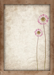 Old vintage texture with dry flower and retro paper background