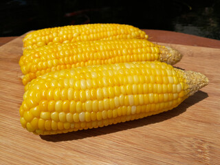 Boiled sweet corn Placed on an outdoor wood cutting board, natural light by the koi pond