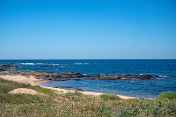 Yeu island ile d'yeu sauvage