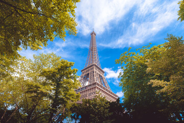 Fototapeta na wymiar eiffel tower in paris on bright sunny day through trees in the park