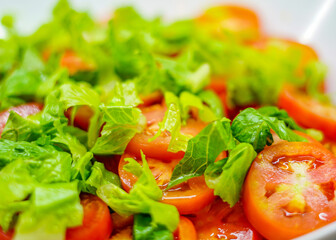 fresh vegetable salad, healthy, food, lettuce, vegetable, fresh, tomato, green, plate, diet, dinner, meal, vegetarian, vegetables, pepper, red, appetizer, tomatoes, white, cucumber, closeup, lunch, is